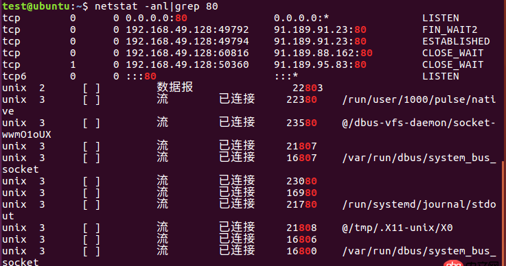 nginx這樣是在運行嗎？