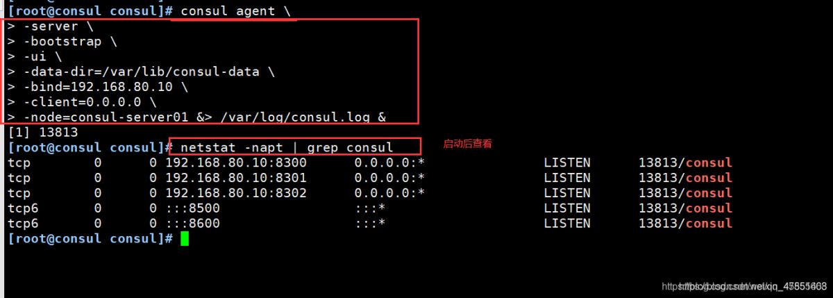 Docker consul的容器服務更新與發現的問題小結