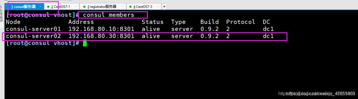 Docker consul的容器服務更新與發現的問題小結