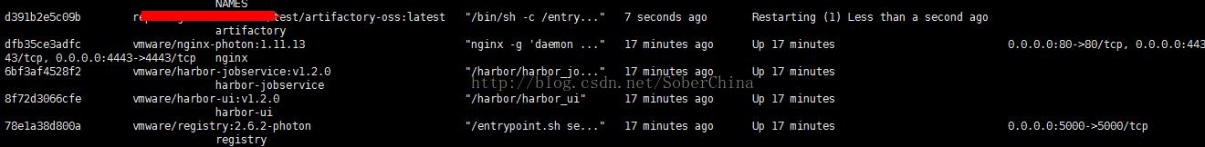 docker 移除掉運行不正常的container操作