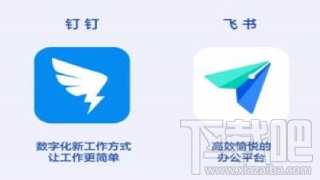 飛書和釘釘哪個好用？飛書與釘釘區別對比
