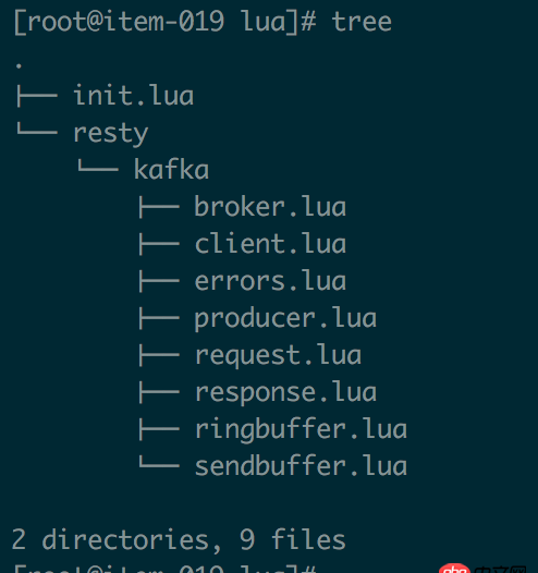nginx - 如何將lua目錄下的文件（`kafka/*`）全部引入環境里面?
