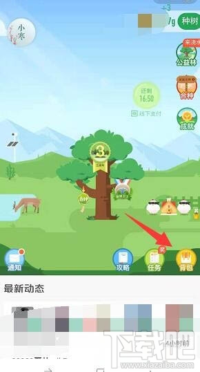 支付寶螞蟻森林梅花掛件怎么領取？