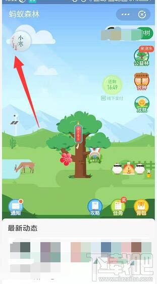 支付寶螞蟻森林梅花掛件怎么領取？