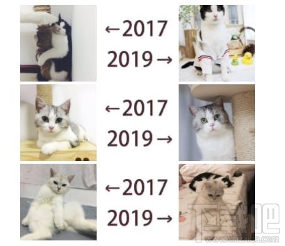 朋友圈曬2017-2019什么意思 發(fā)2017和2019對(duì)比的是什么梗