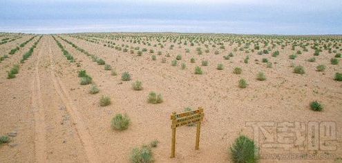 螞蟻森林全民義務植樹盡責證書怎么得