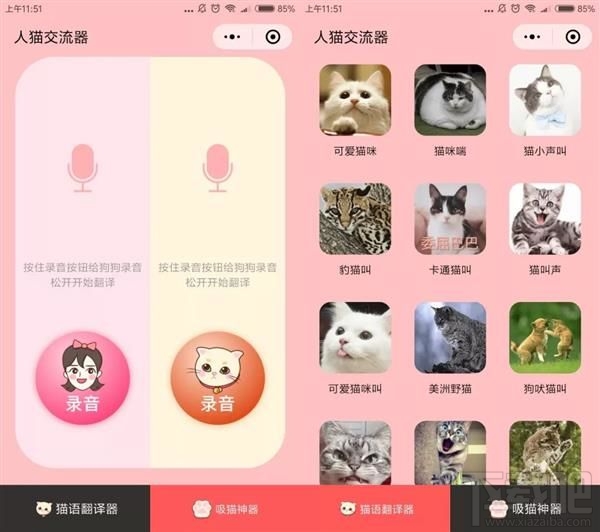 吸貓微信小程序推薦，人貓交流器讓你家寵物更軟萌可愛