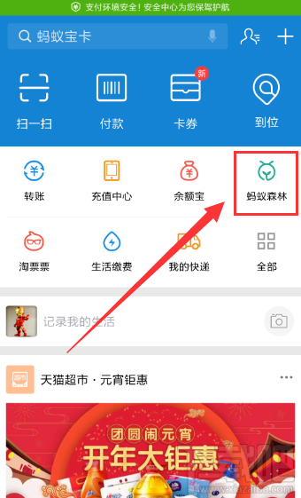 支付寶種樹怎么收集能量?支付寶種樹收集能量方法