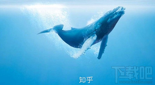 知乎知卡怎么申請？知乎知卡申請辦理地址