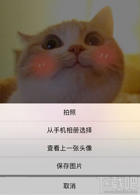 微信頭像還是喜歡上一張圖片？微信一鍵換回上一張頭像