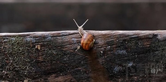 微信可以發送定時信息嗎？微信怎么發送定時信息？