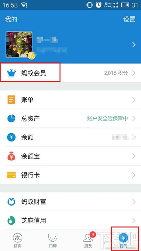 怎么看支付寶等級？怎么看自己是不是支付寶鉑金會員？
