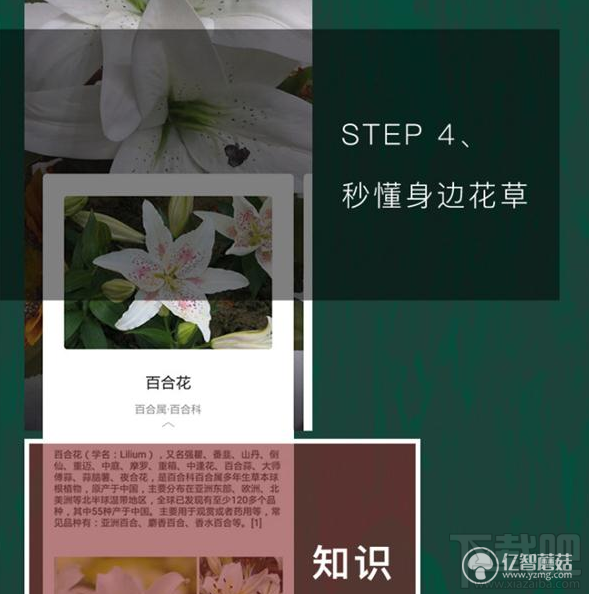 qq瀏覽器怎么識別花草？qq瀏覽器識你所見怎么玩