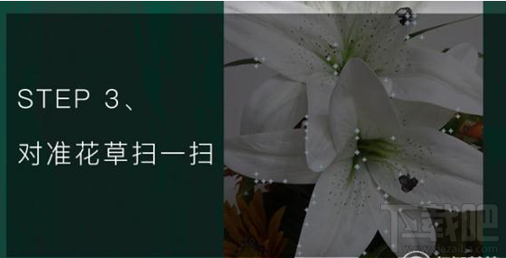 qq瀏覽器怎么識別花草？qq瀏覽器識你所見怎么玩