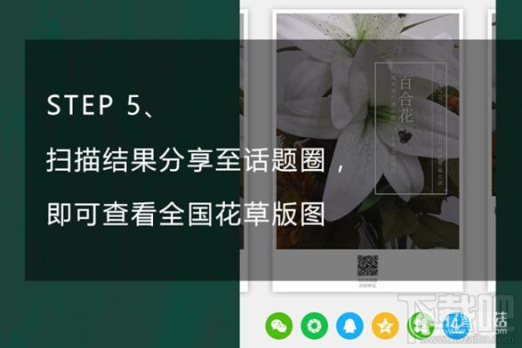 qq瀏覽器怎么識別花草？qq瀏覽器識你所見怎么玩