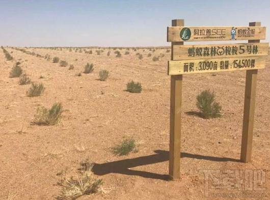 螞蟻森林能量忽然少了怎么回事?