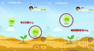 支付寶螞蟻森林能量值計算方法