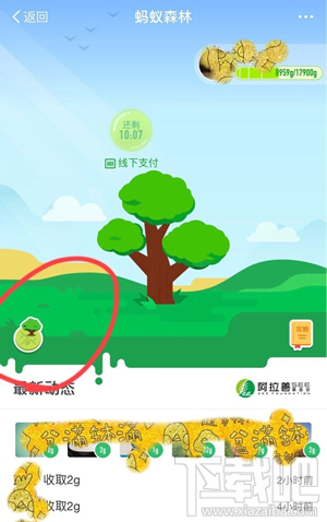 支付寶螞蟻森林在哪查看螞蟻地圖?