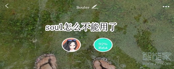 soul怎么不能用了