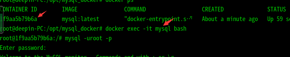 Deepin使用docker安裝mysql數(shù)據(jù)庫過程詳解