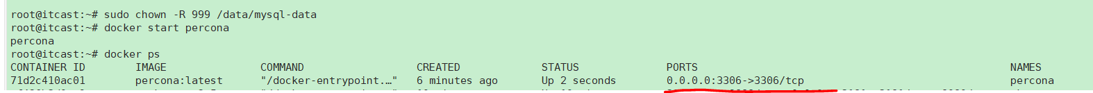 Docker創(chuàng)建容器時(shí)目錄權(quán)限踩坑