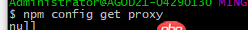 node.js - npm一直提示proxy有問題