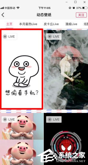 動態壁紙精靈APP怎么設置手機壁紙？