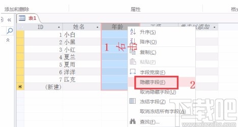 Microsoft Office Access隱藏和顯示字段的方法