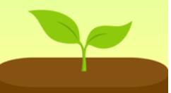 forest如何更改標簽？更改標簽的步驟分享