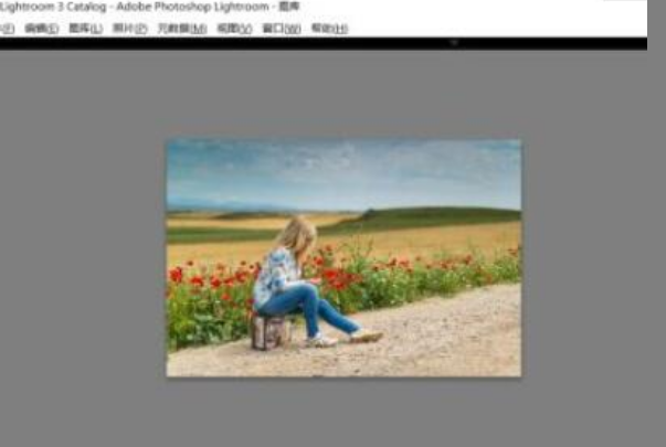 lightroom設置dng保存格式步驟介紹