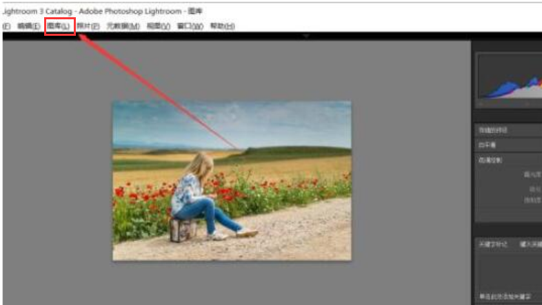 lightroom設置dng保存格式步驟介紹