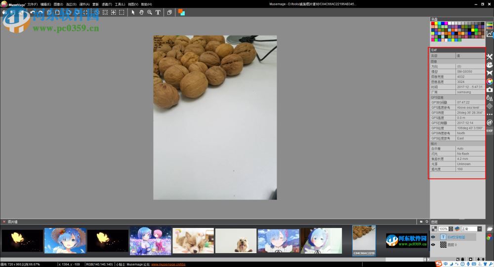 Musemage查看exif信息以及設置exif文字標簽的方法