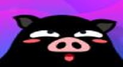 黑豬電競怎么下單？黑豬電競下單方法說明