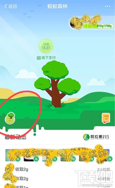 螞蟻森林模擬地圖從哪進?