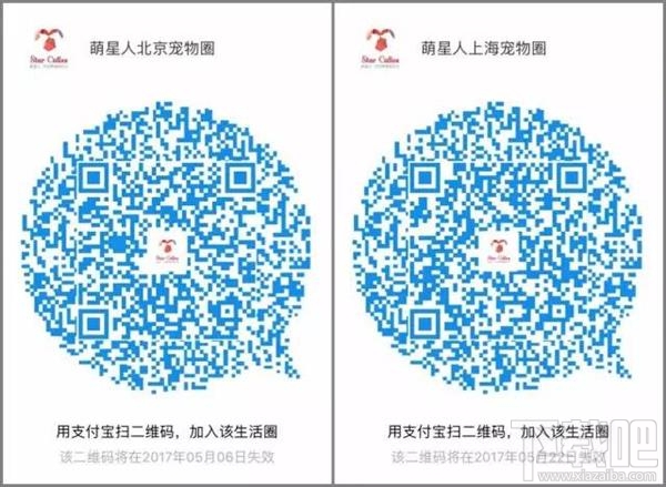 支付寶圈子怎么加？ 支付寶圈子推薦大全