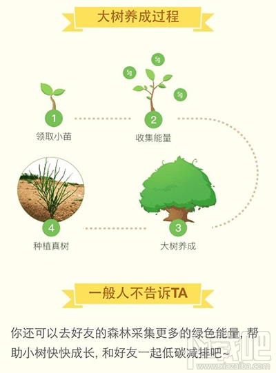 支付寶螞蟻森林種樹攻略