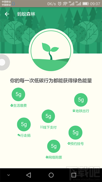 支付寶螞蟻森林是什么？支付寶螞蟻森林詳細(xì)介紹