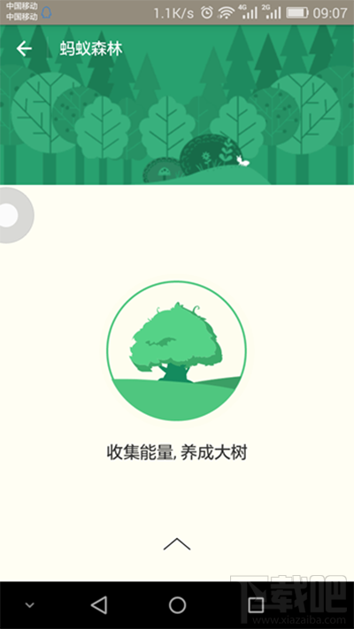 支付寶螞蟻森林是什么？支付寶螞蟻森林詳細(xì)介紹