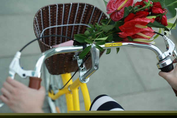 ofo公主車(chē)怎么樣？公主車(chē)在哪里可以借到？