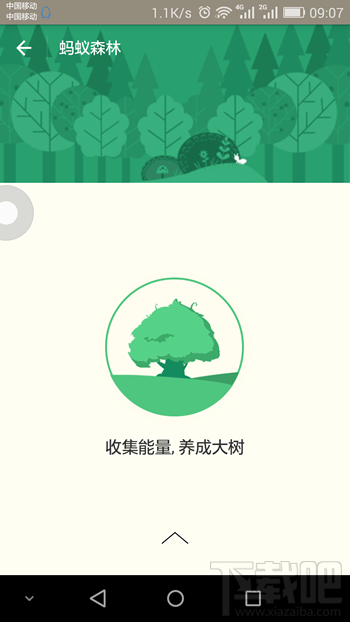 支付寶螞蟻森林在哪里 支付寶螞蟻森林是什么