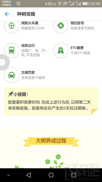 支付寶螞蟻森林在哪里 支付寶螞蟻森林是什么