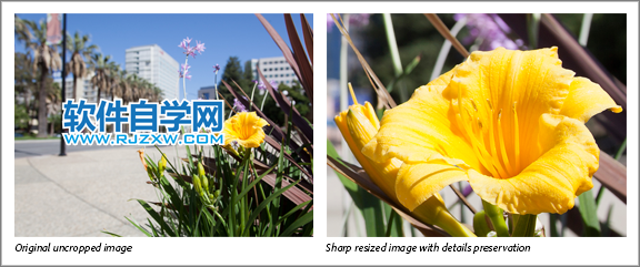 Photoshop中的“圖像大小”保留哪些細節