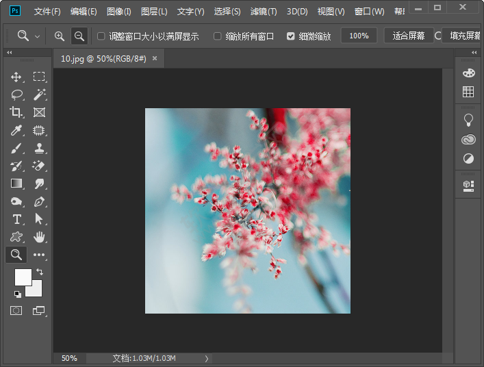 ps應用畫布大小命令裁剪照片