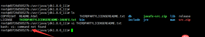 vim - docker中新的ubuntu12.04鏡像,運(yùn)行vi提示,找不到命名.