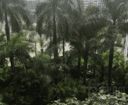 蘋果macOS High Sierra怎么樣？已完善Live Photos編輯功能