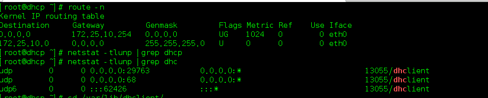 Linux實現DHCP服務器的搭建