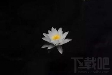 snapseed怎么修圖教程，snapseed手機版使用教程