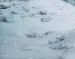 win7怎么顯示文件的后綴名