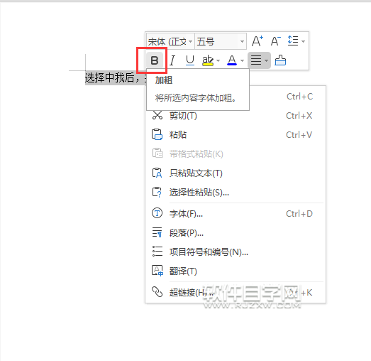 wps文本中怎么加粗字體