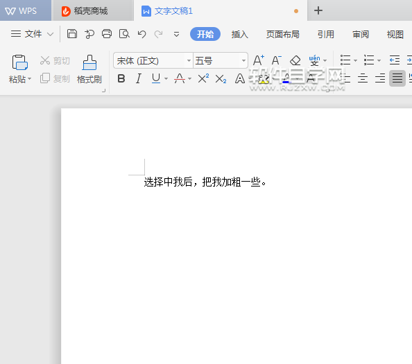wps文本中怎么加粗字體